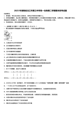 2025年湖南省沅江市第三中学高一生物第二学期期末统考试题含解析