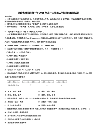 湖南省雅礼洋湖中学2025年高一生物第二学期期末预测试题含解析