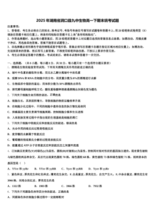 2025年湖南省洞口县九中生物高一下期末统考试题含解析