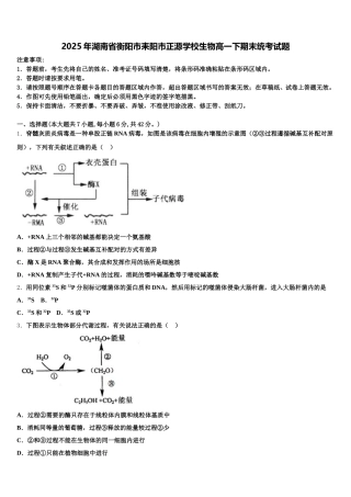 2025年湖南省衡阳市耒阳市正源学校生物高一下期末统考试题含解析