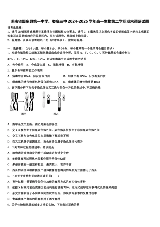 湖南省邵东县第一中学、娄底三中2024-2025学年高一生物第二学期期末调研试题含解析