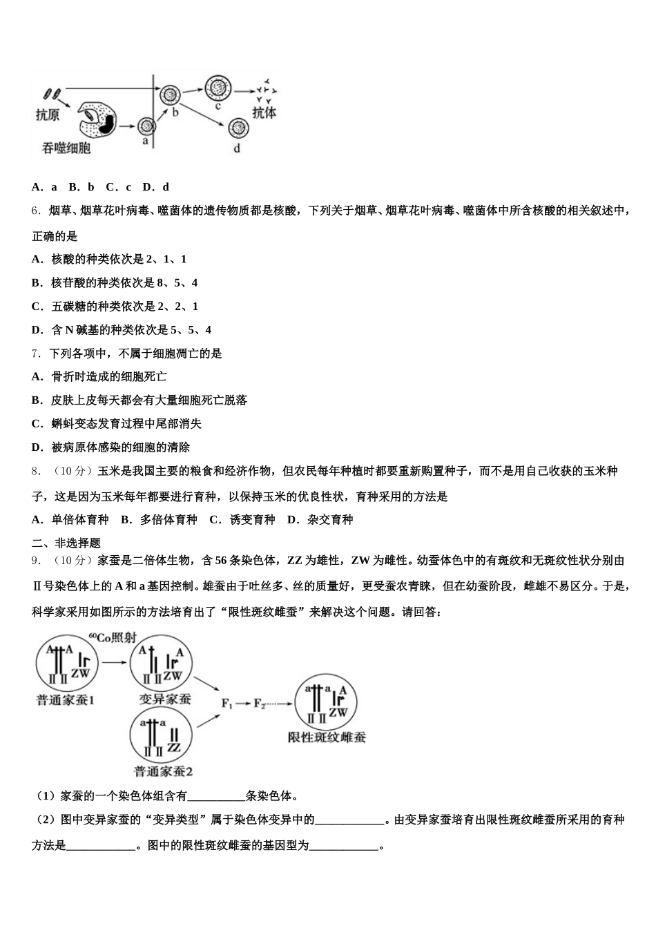 2025年湖南省邵阳市双清区十一中生物高一下期末考试试题含解析_第2页