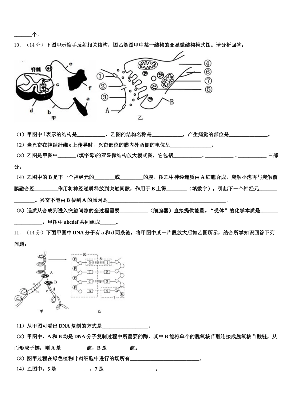 2025届湖南株洲市第十八中学高一生物第二学期期末教学质量检测模拟试题含解析_第3页