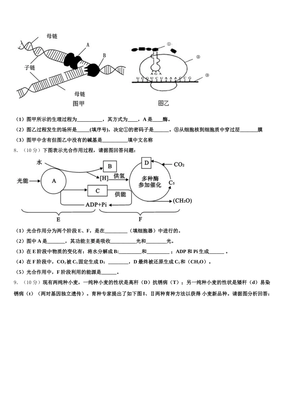 2025届湖南省武冈市第一中学生物高一下期末综合测试试题含解析_第2页