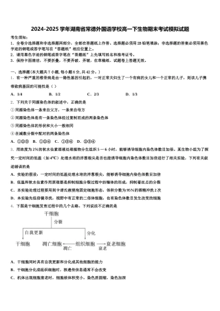 2024-2025学年湖南省常德外国语学校高一下生物期末考试模拟试题含解析