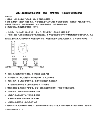 2025届湖南省衡阳八中、澧县一中生物高一下期末监测模拟试题含解析