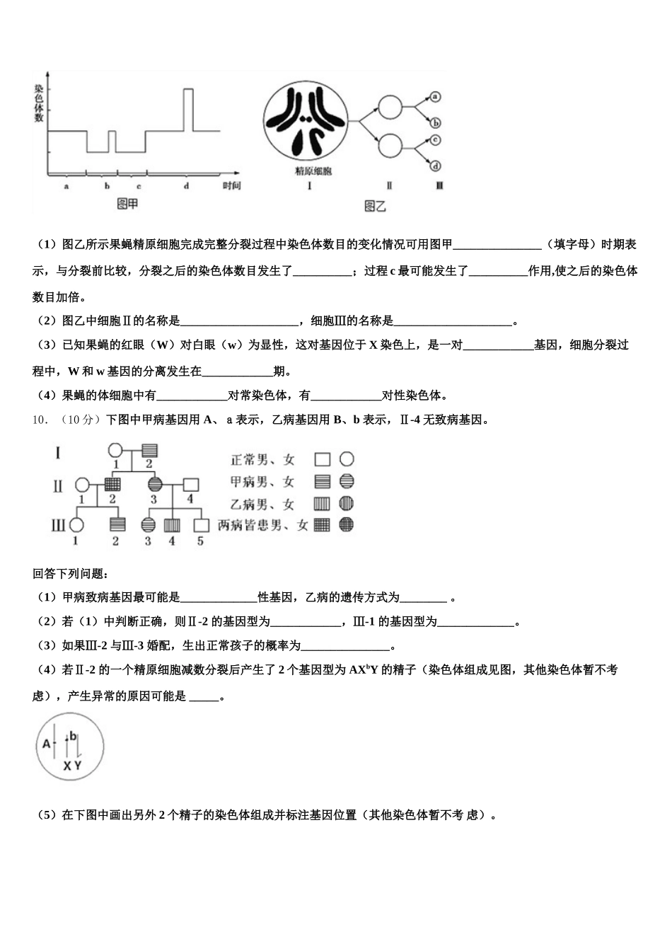 湖南省冷水江市第一中学2025届生物高一下期末检测模拟试题含解析_第3页