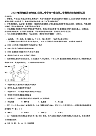 2025年湖南省常德市石门县第二中学高一生物第二学期期末综合测试试题含解析