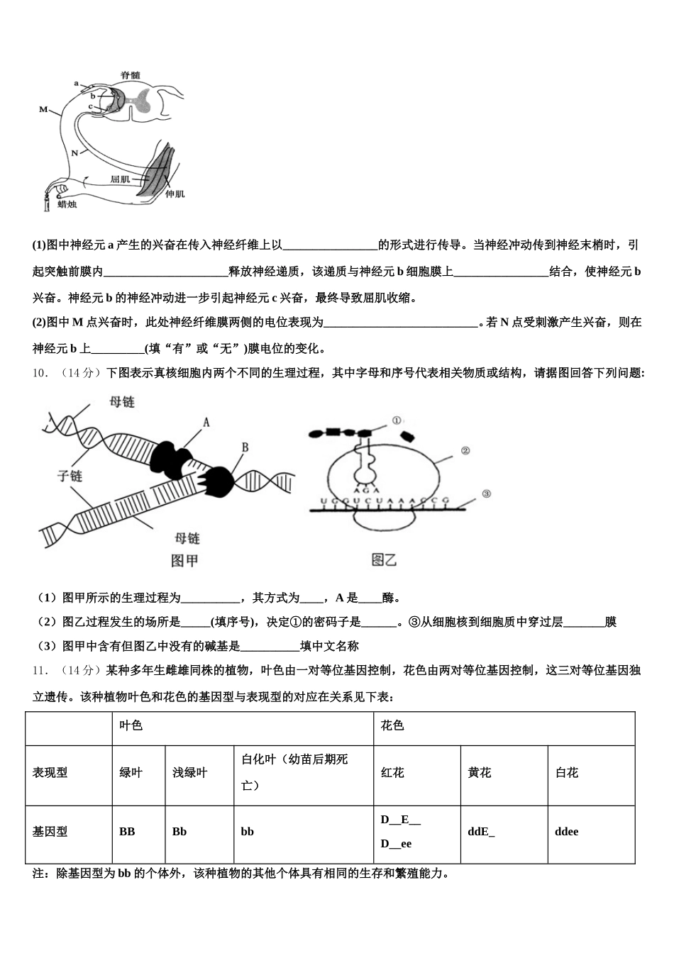 湖南省常德市石门一中2025届高一生物第二学期期末经典模拟试题含解析_第3页