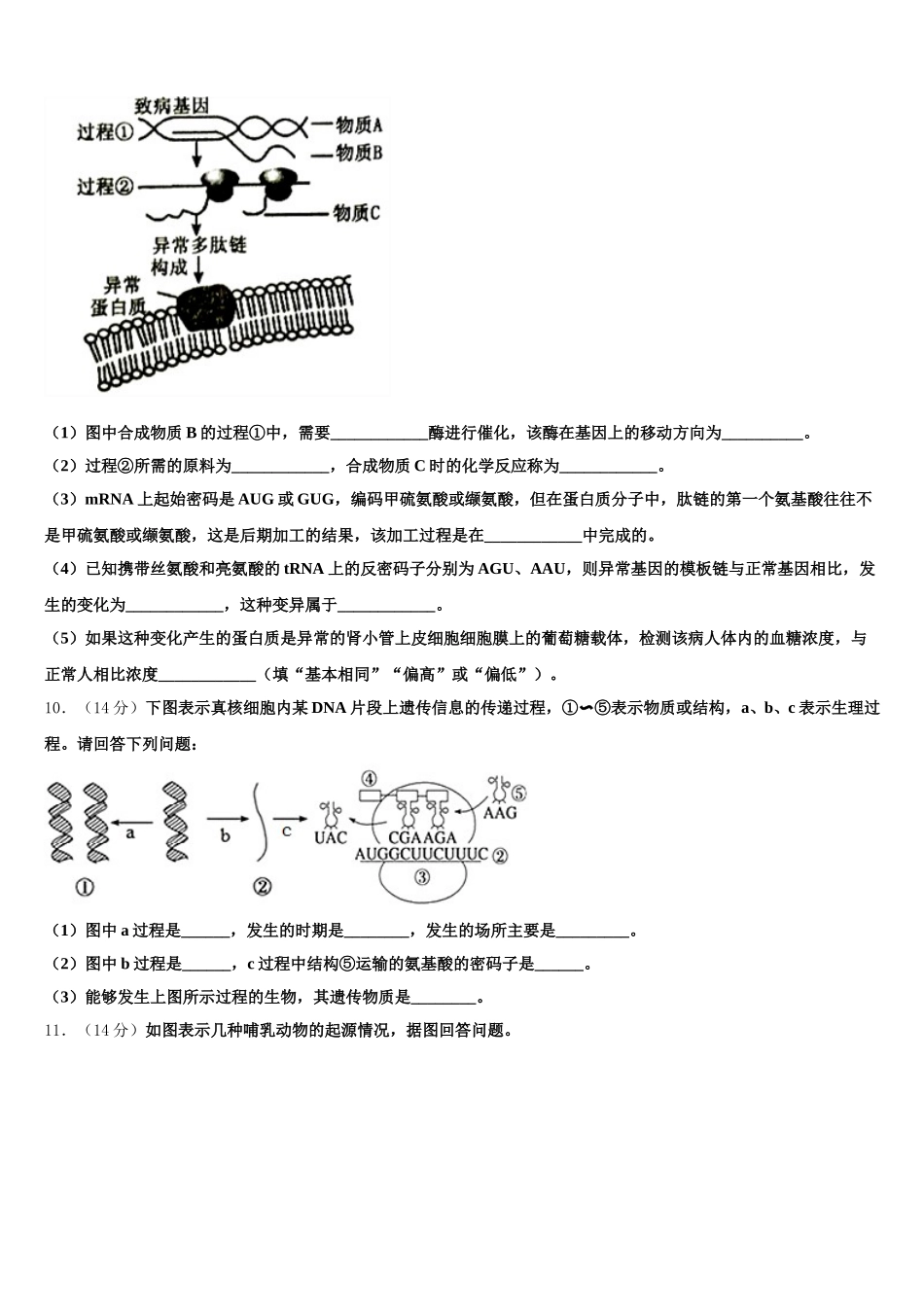 湖南省衡阳县第四中学2024-2025学年生物高一第二学期期末检测试题含解析_第3页