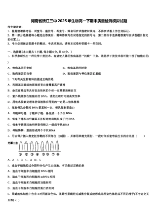 湖南省沅江三中2025年生物高一下期末质量检测模拟试题含解析