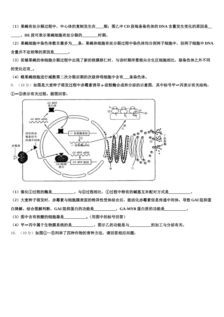 2025届湖南省醴陵一中、攸县一中生物高一下期末检测模拟试题含解析_第3页