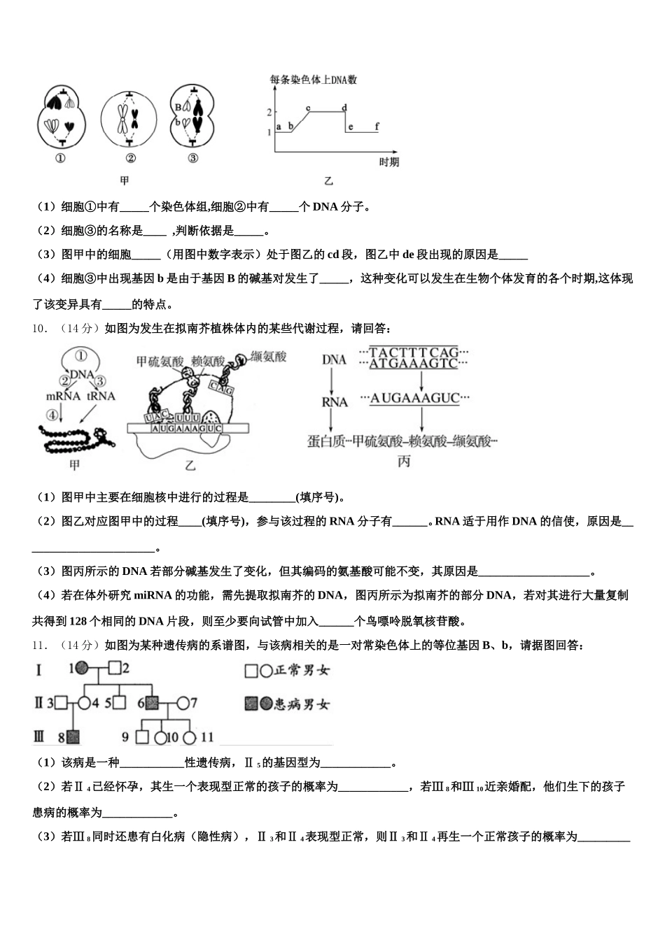 湖南省长沙雅礼中学2025届生物高一下期末考试试题含解析_第3页