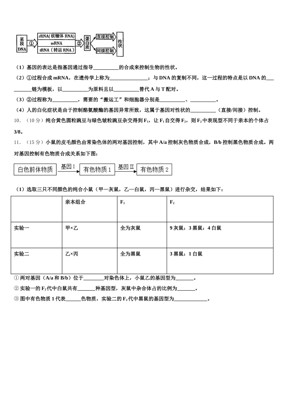 2025年湖南省邵阳市双清区第十一中学生物高一第二学期期末质量跟踪监视模拟试题含解析_第3页