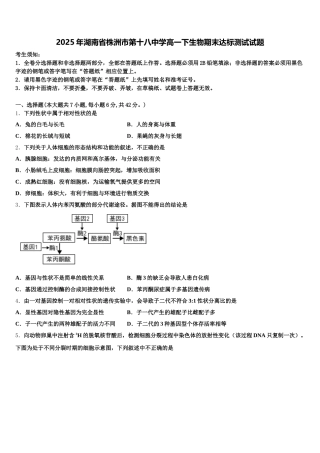 2025年湖南省株洲市第十八中学高一下生物期末达标测试试题含解析