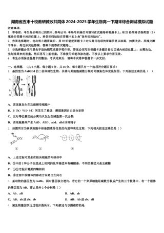 湖南省五市十校教研教改共同体2024-2025学年生物高一下期末综合测试模拟试题含解析