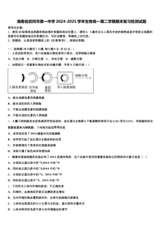 湖南省武冈市第一中学2024-2025学年生物高一第二学期期末复习检测试题含解析