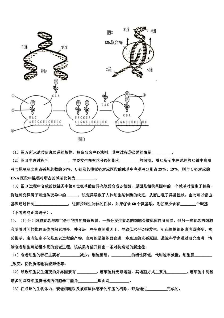 2025年郴州市重点中学高一生物第二学期期末经典模拟试题含解析_第3页