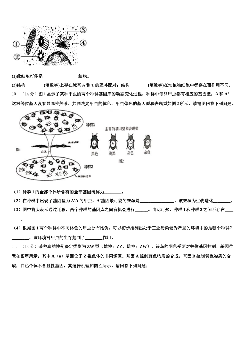 2025届湖南省市衡阳第八中学高一下生物期末复习检测模拟试题含解析_第3页