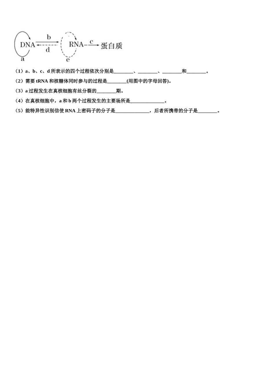 2025年湖南省宁乡市高一生物第二学期期末学业质量监测模拟试题含解析_第3页