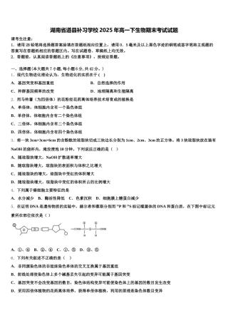 湖南省道县补习学校2025年高一下生物期末考试试题含解析