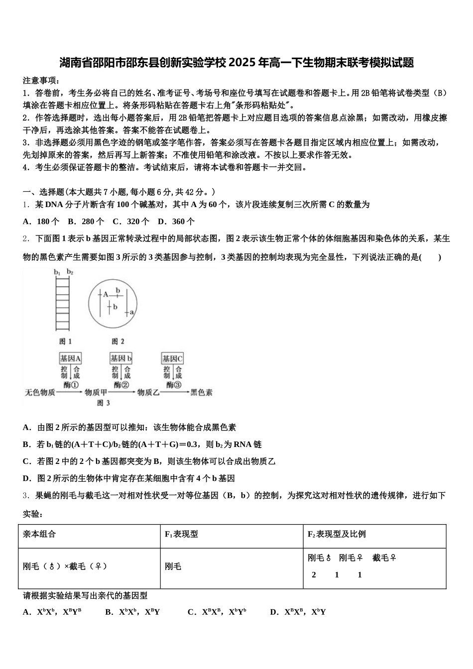 湖南省邵阳市邵东县创新实验学校2025年高一下生物期末联考模拟试题含解析_第1页