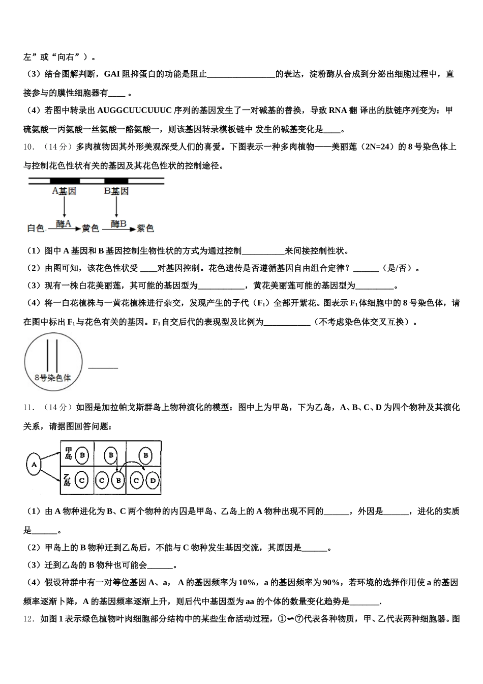 湖南省邵阳市邵东县创新实验学校2025年高一下生物期末联考模拟试题含解析_第3页