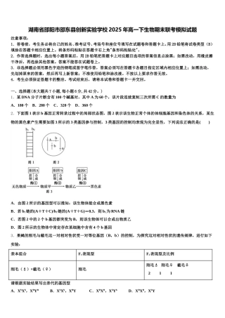 湖南省邵阳市邵东县创新实验学校2025年高一下生物期末联考模拟试题含解析
