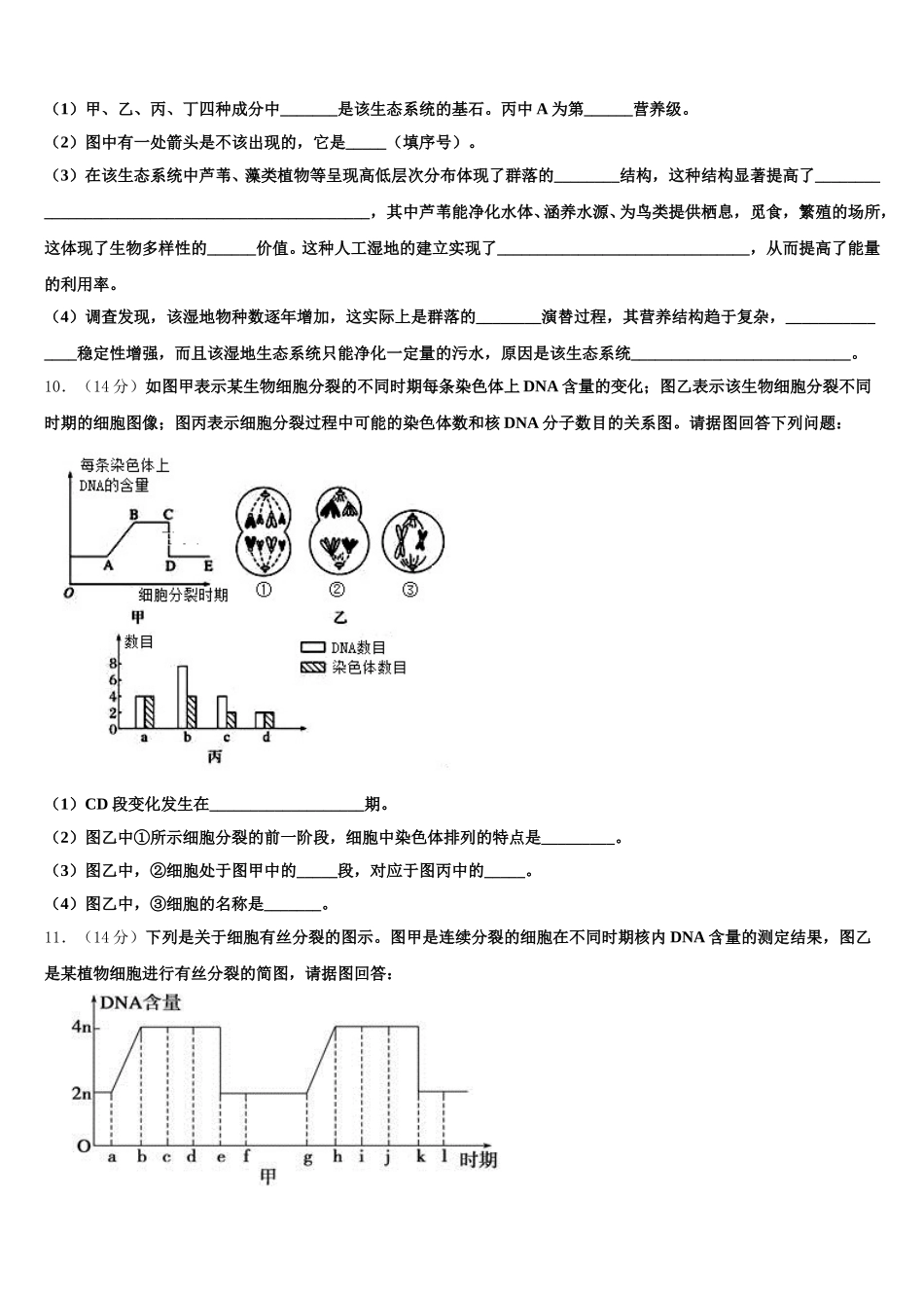 2025届湖南省邵阳市洞口一中、隆回一中、武冈二中高一下生物期末联考模拟试题含解析_第3页