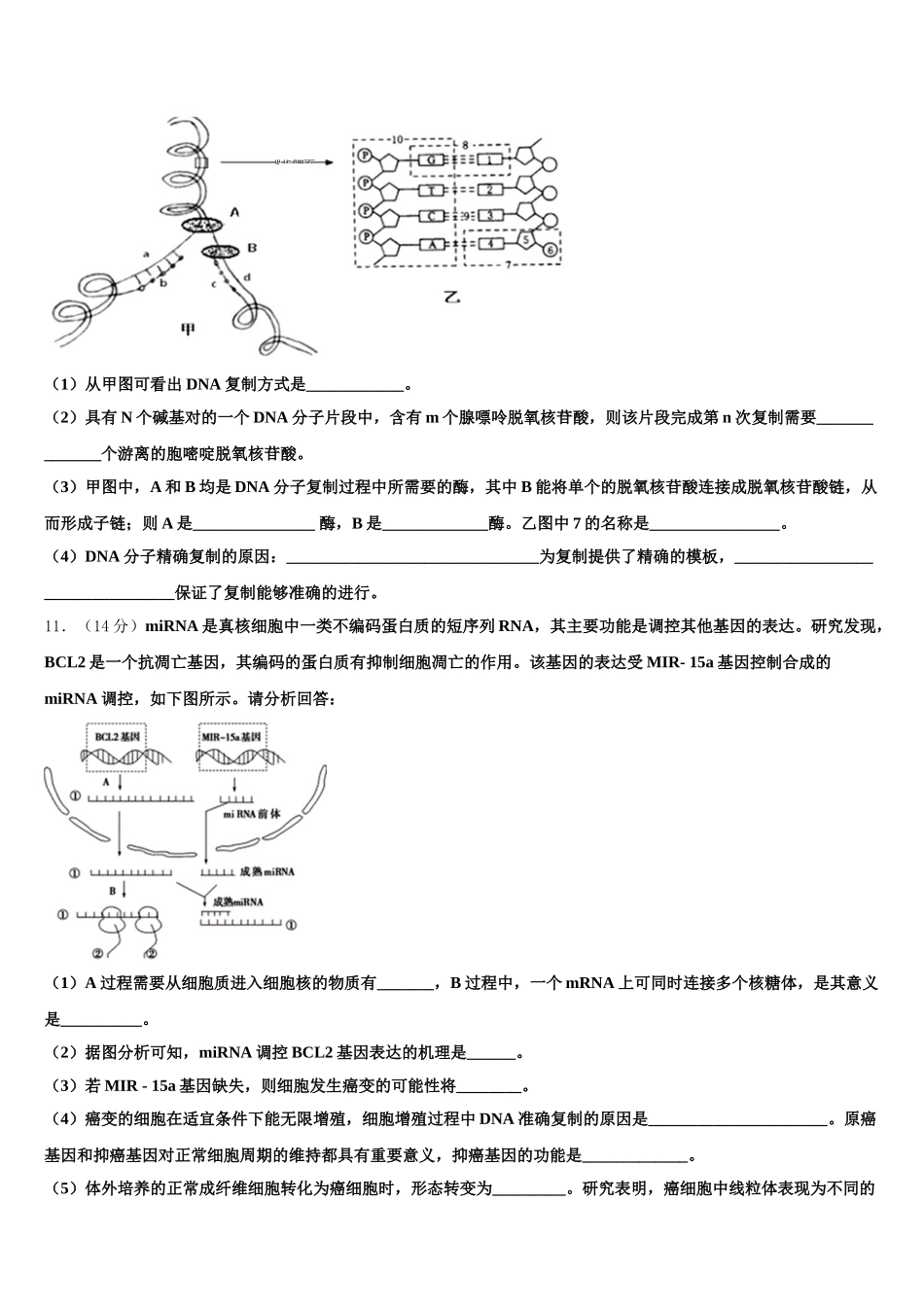 2025年湖南省邵阳市邵东县第三中生物高一第二学期期末学业质量监测模拟试题含解析_第3页