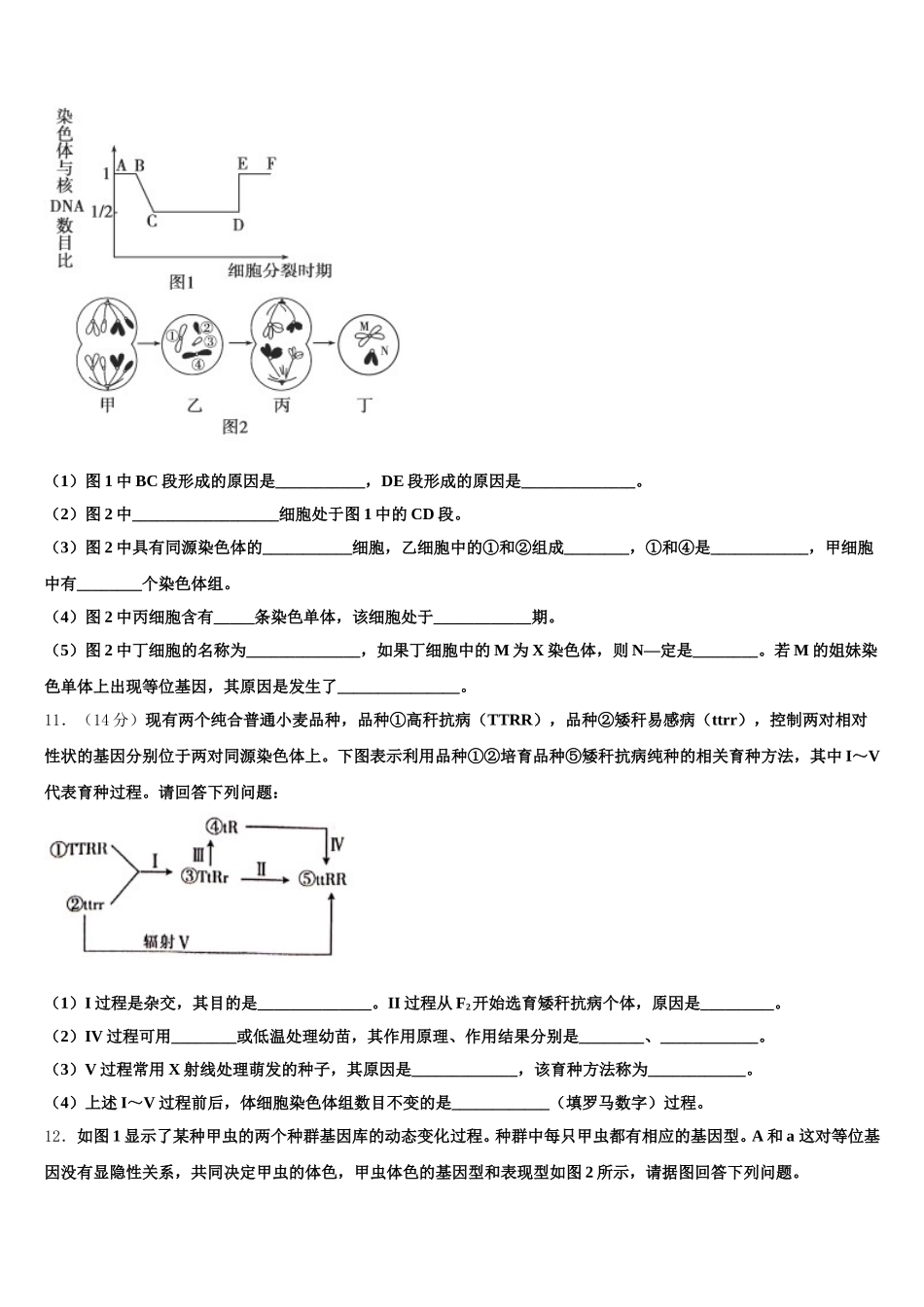 湖南省衡阳市衡阳县六中2024-2025学年高一生物第二学期期末预测试题含解析_第3页
