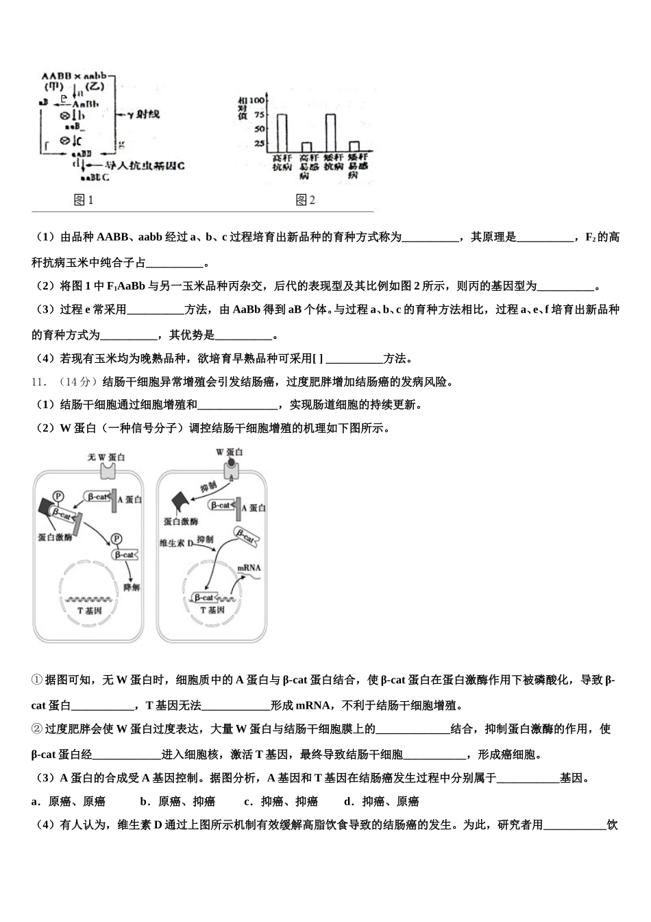 2025届湖南省益阳市资阳区第六中学高一下生物期末综合测试模拟试题含解析_第3页