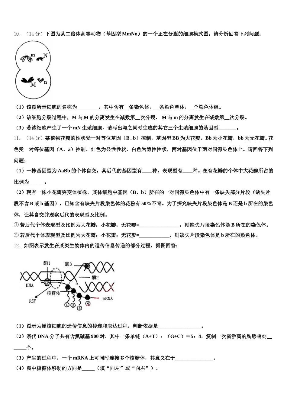 湖南省长沙市湖南师范大学附属中学2024-2025学年高一下生物期末学业质量监测试题含解析_第3页