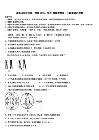 湖南省邵东市第一中学2024-2025学年生物高一下期末调研试题含解析