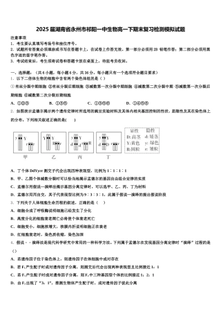 2025届湖南省永州市祁阳一中生物高一下期末复习检测模拟试题含解析
