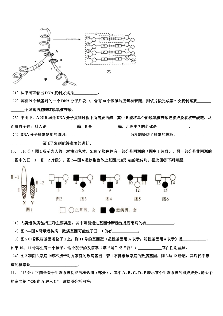 2025届湖南省邵阳市第十一中学高一下生物期末教学质量检测试题含解析_第3页
