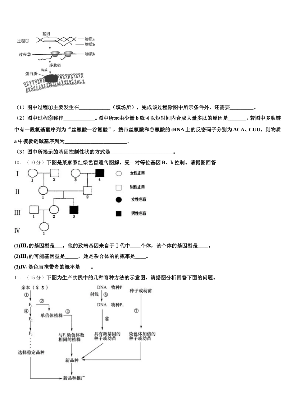 湖南省衡阳市正源学校2025届生物高一下期末质量检测试题含解析_第3页