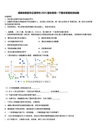 湖南省衡阳市正源学校2025届生物高一下期末质量检测试题含解析