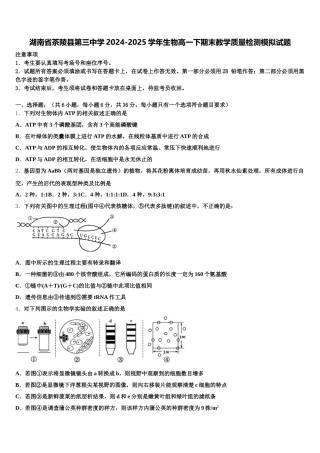 湖南省茶陵县第三中学2024-2025学年生物高一下期末教学质量检测模拟试题含解析