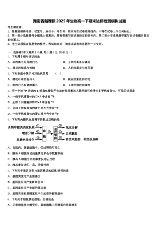 湖南省新课标2025年生物高一下期末达标检测模拟试题含解析