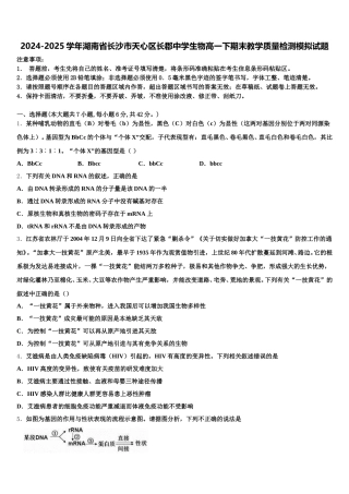 2024-2025学年湖南省长沙市天心区长郡中学生物高一下期末教学质量检测模拟试题含解析