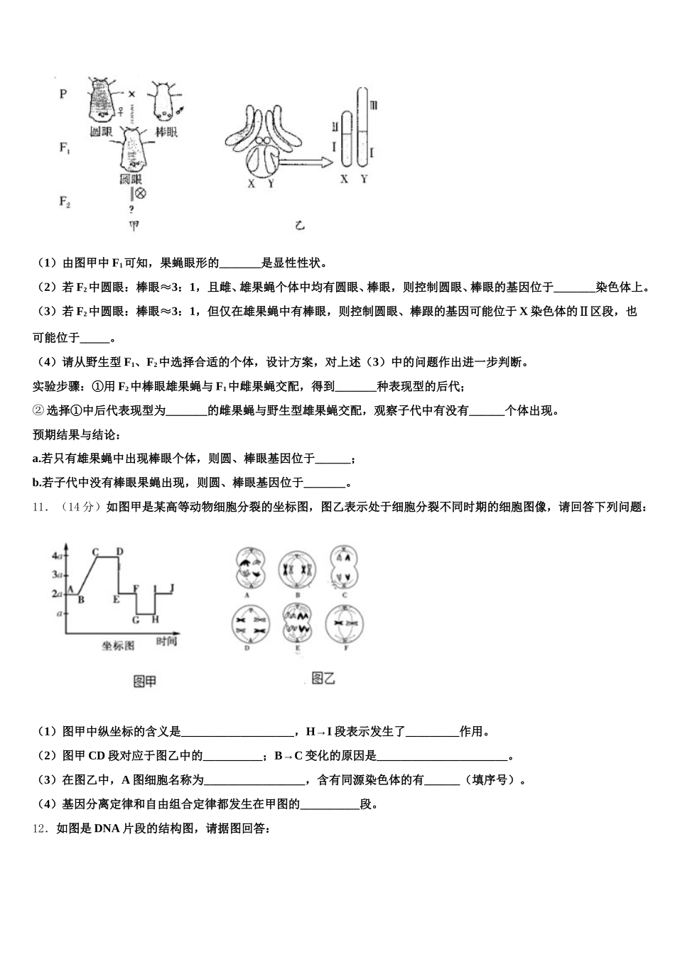 2024-2025学年湖南省浏阳一中、株洲二中等湘东六校生物高一下期末复习检测模拟试题含解析_第3页