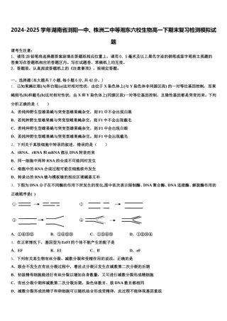 2024-2025学年湖南省浏阳一中、株洲二中等湘东六校生物高一下期末复习检测模拟试题含解析