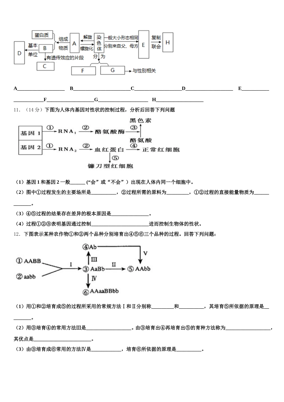 湖南省邵阳市新邵县2025年生物高一第二学期期末教学质量检测模拟试题含解析_第3页