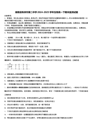 湖南省株洲市第二中学2024-2025学年生物高一下期末监测试题含解析