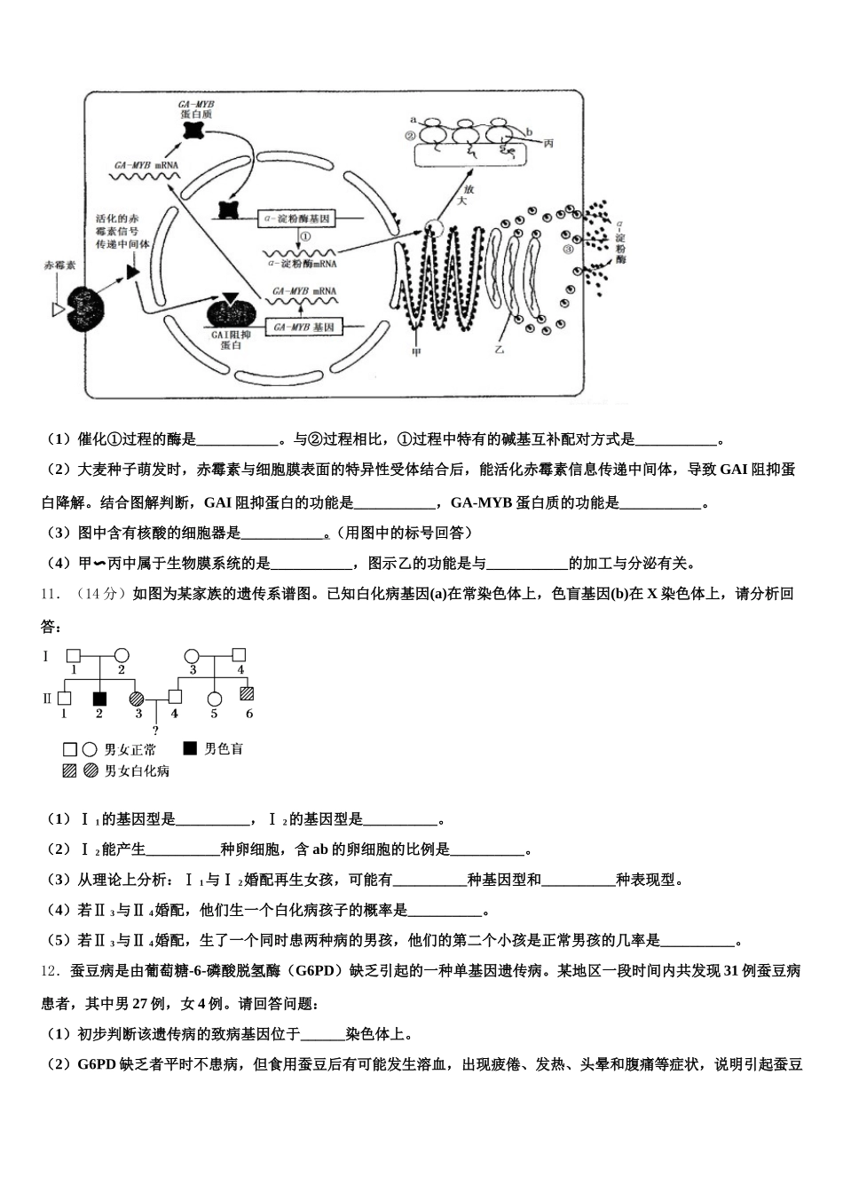 2024-2025学年湖南省衡阳一中生物高一下期末联考试题含解析_第3页