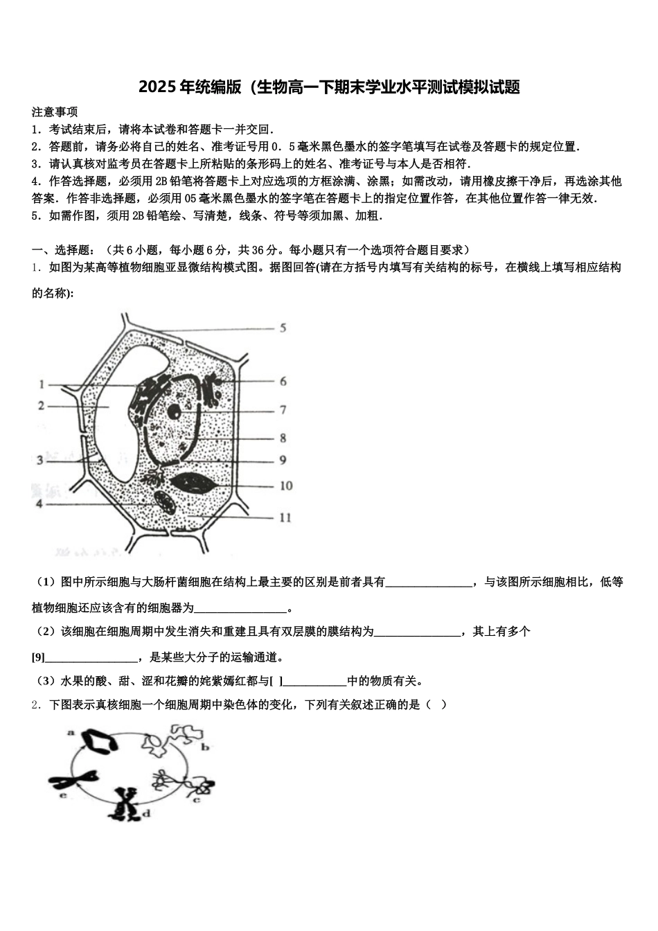 2025年统编版（生物高一下期末学业水平测试模拟试题含解析_第1页