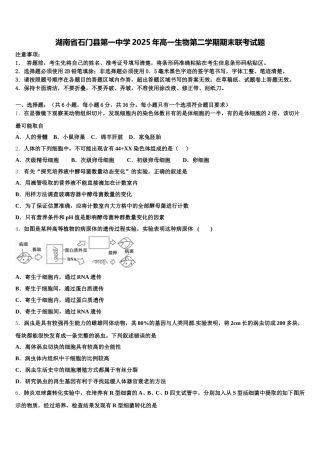 湖南省石门县第一中学2025年高一生物第二学期期末联考试题含解析