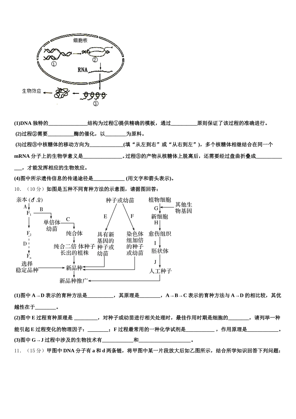 湖南省长沙市铁路第一中学2025届生物高一下期末监测模拟试题含解析_第3页