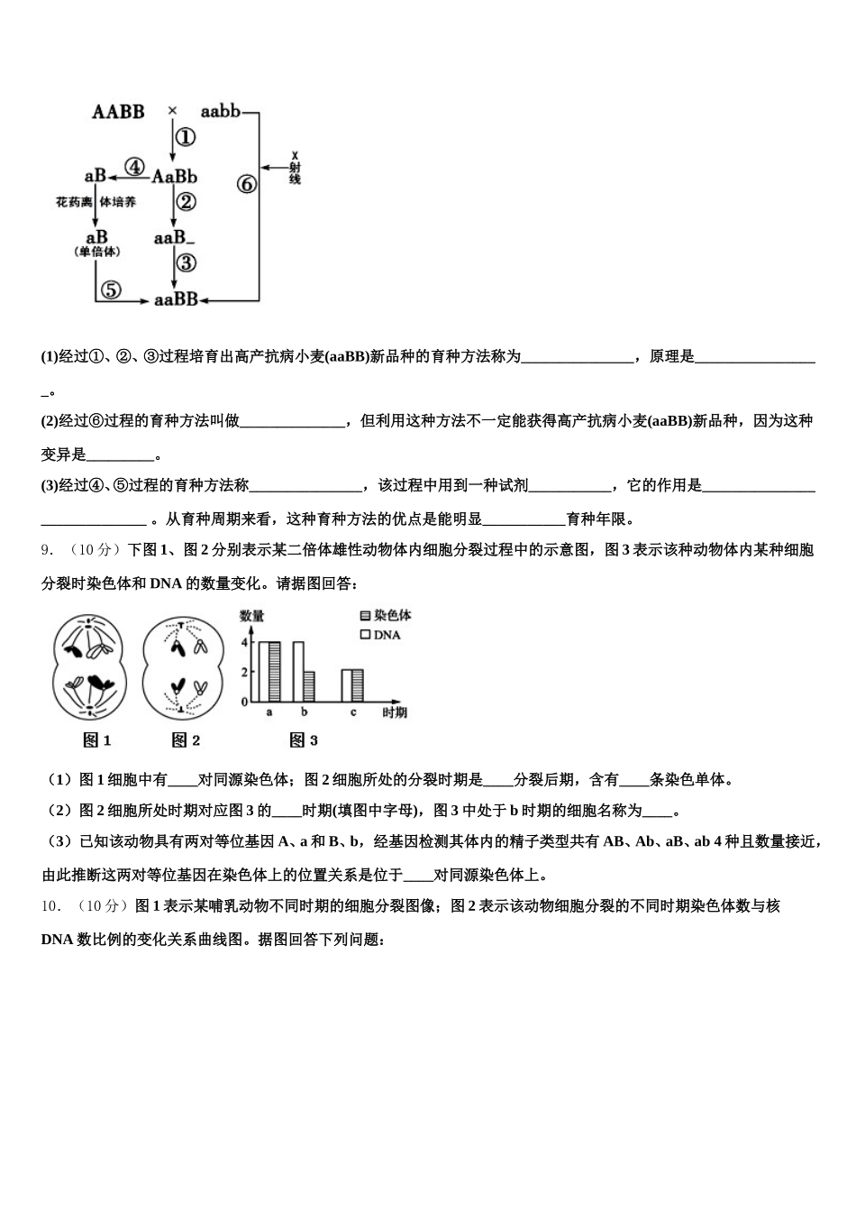 2025年株洲市第二中学生物高一下期末综合测试模拟试题含解析_第2页